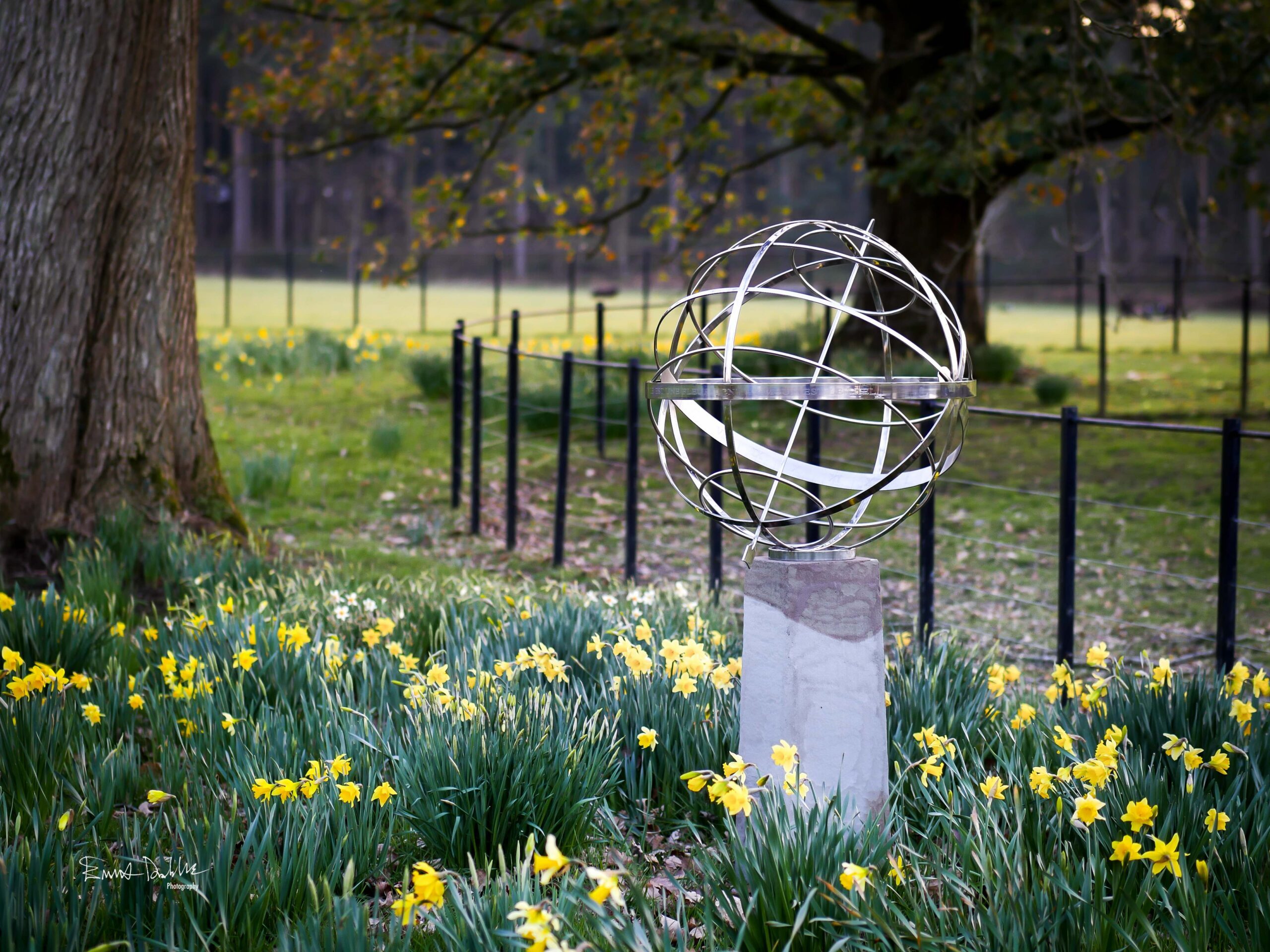 Daffodils and Sundials