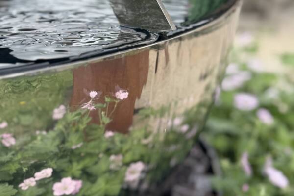 Arrow-tail-detail-at-the-edge-of-Cascade-scaled-600x400 Cascade